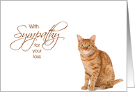 With Sympathy - Loss of Pet Cat card