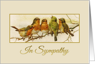 In Sympathy Vintage birds card