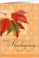HappyThanksgiving - Fall Leaves card