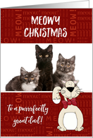 Meowy Christmas to Dad from Cat(s) - Custom Photo & Name card