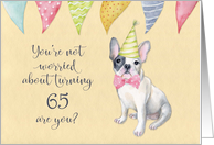 Happy 65th Birthday Worried Bulldog Party Hat and Banners card