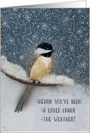 Get Well Winter Snowy Under the Weather Chickadee card