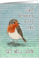 Get Well Soon Little Bird Dropping By card