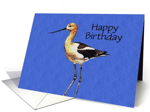 Avocet Birthday card (1061905)