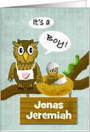 Boy Baby Announcement - Custom Name, Owls card