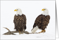 Bald Eagles On Log In Snow, Blank Note Card