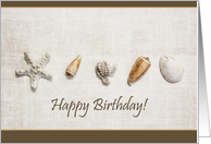 Happy Birthday Seashells on textured background card
