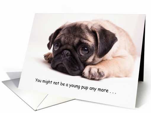 Getting Older Funny Birthday Card featuring a cute puppy card