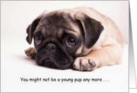 Getting Older Funny Birthday Card featuring a cute puppy card
