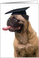 Top Dog Pug in Cap Graduation Party Invitation card