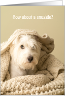 How about a snuggle? White Westie Love card