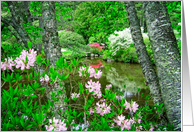 Beautiful Japanese Garden card