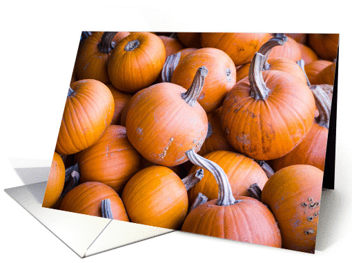 Pumpkins Autumn Season Blank card (1102622)