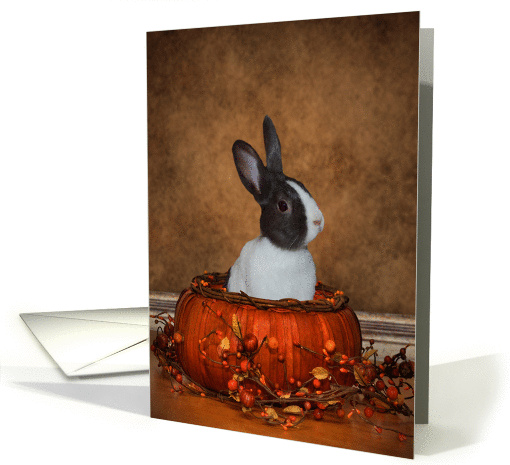 Bunny In A Halloween Pumpkin card (1120992)