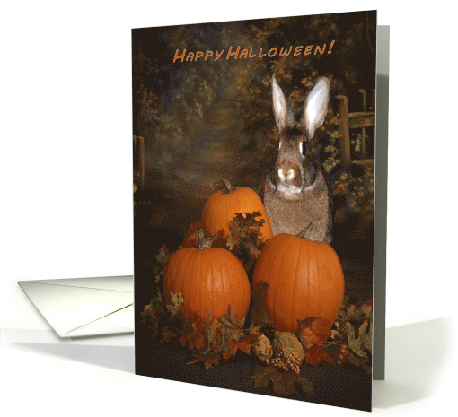 Halloween Bunny in a Pumpkin Patch card (1168102)