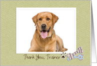 Bones and Paw, Thank You Dog Trainer Custom Photo card