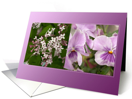 Purple Harmony of Violets Lilacs Flowers - Thinking of you card