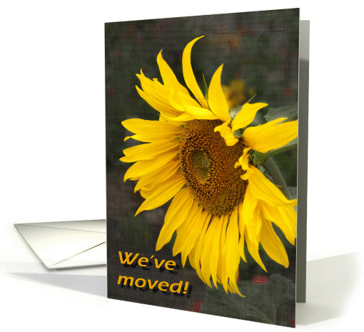 Bright Sunny Sunflower - Moving Announcement card (1094994)
