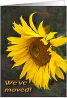 Bright Sunny Sunflower - Moving Announcement card