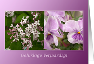 Purple Harmony of Violets Lilacs Flowers - Birthday Verjaardag kaart card