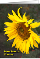 Bright Sunny Sunflower - Van harte Dank Thank you card