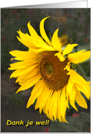 Bright Sunny Sunflower - Dank je wel Thank you card