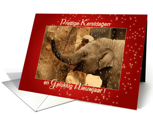 Little Elephant Stars Shower - Kerstdagen Nieuwjaar Happy... (1109596)
