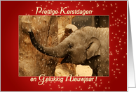 Little Elephant Stars Shower - Kerstdagen Nieuwjaar Happy Holidays card