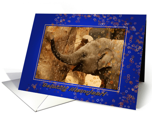 Little Elephant Stars Shower - Gelukkig Nieuwjaar Happy New Year card