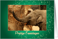 Little Elephant Stars Shower - Prettige Feestdagen Happy Holidays card