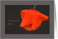 Poppy raindrops red grey - Dank Deelneming Thanks Sympathy Dutch card