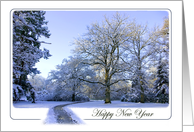 Path through Winter Wonderland - Season’s Greetings Happy New Year card