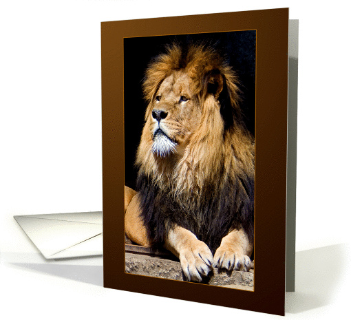 His Majesty Lion portrait brown - wildlife Animals blank note card