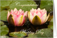 Two pink water lilies close together - Wedding Congrats card