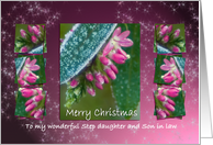 Merry Christmas Step daughter & Son in law - Hebe Pink Ice Crystals card