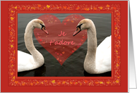Two young swans & hearts - Je ’t adore - French Valentine’s day card