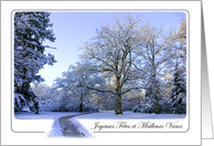 Path through Winter Wonderland - Happy Holidays French Joyeuses Ftes card
