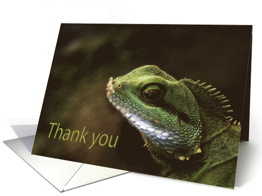 Little Green Spiny Lizzard Close-up Thank You Green Natural blank card