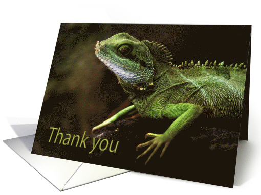 Little Green Spiny Lizzard on rock Thank You Green Natural blank card