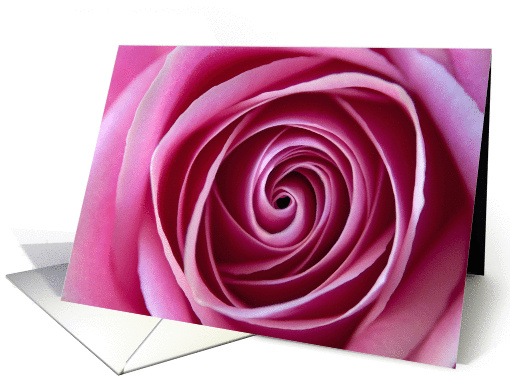 The Swirl Pink Rose Photo Blank Note card (1100030)