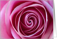The Swirl Pink Rose Photo Blank Note Card