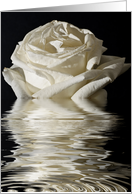 Silver Anniversary Rose Flood card