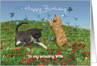 Cats playing with butterflies for Wife Birthday card