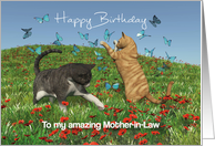 Cats playing with butterflies for Mother-in-Law Birthday card