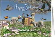 Labrador puppies Birds and Butterflies Birthday Grandson card