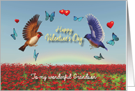 Valentine Birds Hearts Poppies and Rainbow for Grandson card