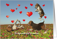 Grandson Valentine with puppy dogs and hearts card