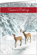 Niece Fantasy Fawns Snowscene Season’s Greetings card