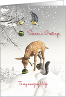 Wife Fantasy Fawn Birds Squirrel Christmas balls card