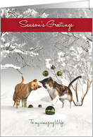 Wife Fantasy Cats Snowscene Season’s Greetings card